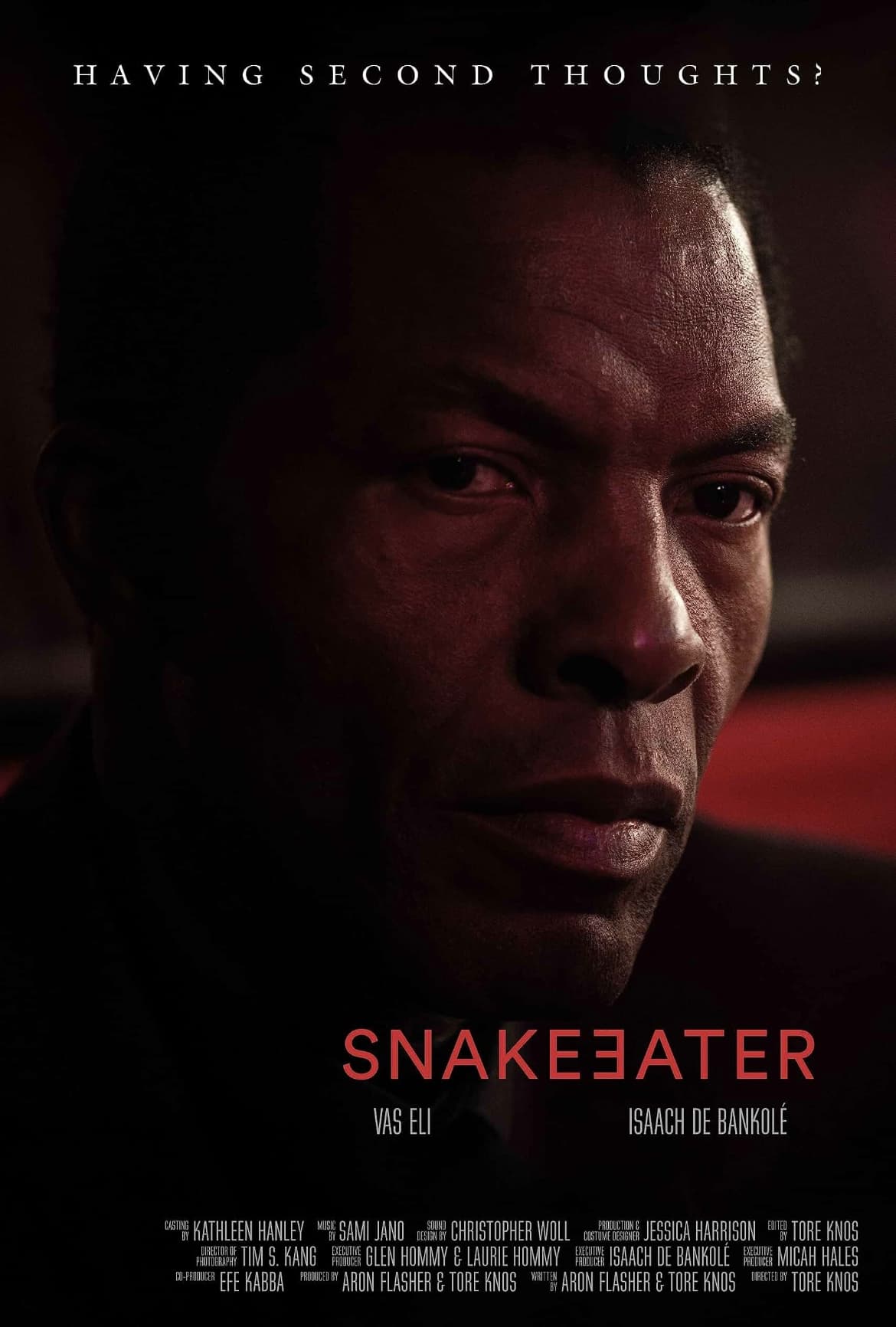 Snakeeater Hindi Dubbed Movie Poster (2024)
